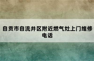 自贡市自流井区附近燃气灶上门维修电话