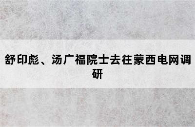 舒印彪、汤广福院士去往蒙西电网调研