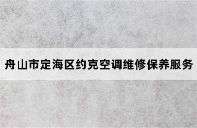 舟山市定海区约克空调维修保养服务