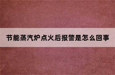 节能蒸汽炉点火后报警是怎么回事