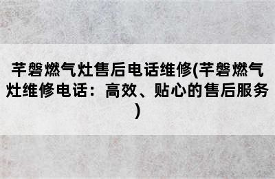 芊磐燃气灶售后电话维修(芊磐燃气灶维修电话：高效、贴心的售后服务)