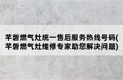 芊磐燃气灶统一售后服务热线号码(芊磐燃气灶维修专家助您解决问题)