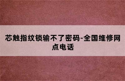 芯触指纹锁输不了密码-全国维修网点电话