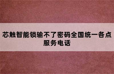 芯触智能锁输不了密码全国统一各点服务电话