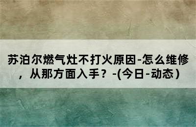 苏泊尔燃气灶不打火原因-怎么维修，从那方面入手？-(今日-动态）