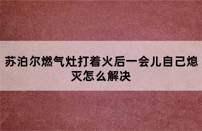 苏泊尔燃气灶打着火后一会儿自己熄灭怎么解决