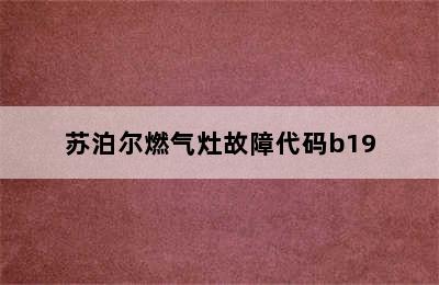 苏泊尔燃气灶故障代码b19