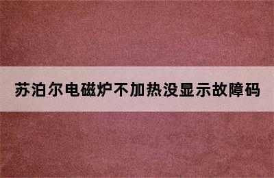 苏泊尔电磁炉不加热没显示故障码