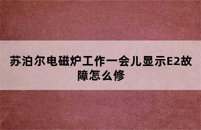 苏泊尔电磁炉工作一会儿显示E2故障怎么修