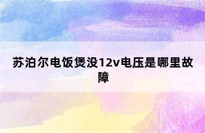 苏泊尔电饭煲没12v电压是哪里故障