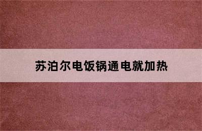 苏泊尔电饭锅通电就加热