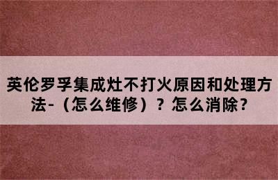 英伦罗孚集成灶不打火原因和处理方法-（怎么维修）？怎么消除？