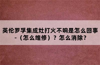 英伦罗孚集成灶打火不响是怎么回事-（怎么维修）？怎么消除？