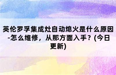 英伦罗孚集成灶自动熄火是什么原因-怎么维修，从那方面入手？(今日更新)