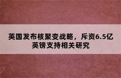 英国发布核聚变战略，斥资6.5亿英镑支持相关研究