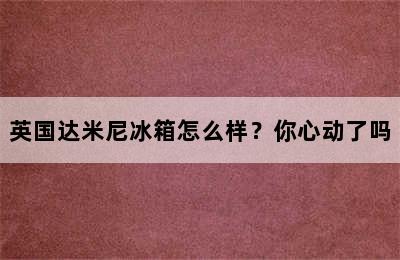 英国达米尼冰箱怎么样？你心动了吗