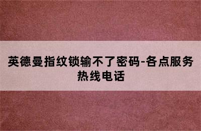 英德曼指纹锁输不了密码-各点服务热线电话