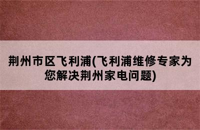 荆州市区飞利浦(飞利浦维修专家为您解决荆州家电问题)