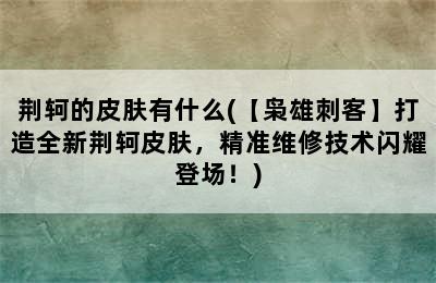 荆轲的皮肤有什么(【枭雄刺客】打造全新荆轲皮肤，精准维修技术闪耀登场！)