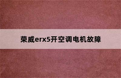 荣威erx5开空调电机故障