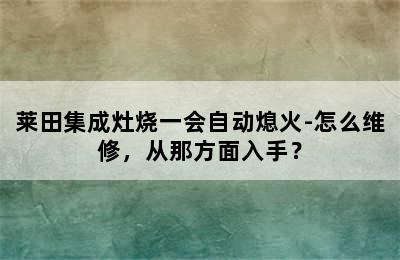 莱田集成灶烧一会自动熄火-怎么维修，从那方面入手？