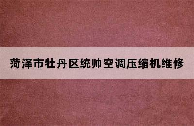 菏泽市牡丹区统帅空调压缩机维修