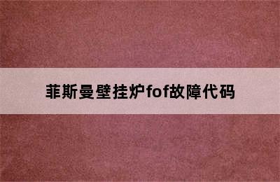 菲斯曼壁挂炉fof故障代码