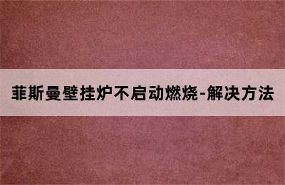 菲斯曼壁挂炉不启动燃烧-解决方法