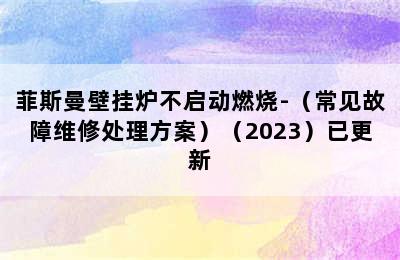 菲斯曼壁挂炉不启动燃烧-（常见故障维修处理方案）（2023）已更新