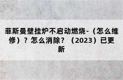 菲斯曼壁挂炉不启动燃烧-（怎么维修）？怎么消除？（2023）已更新