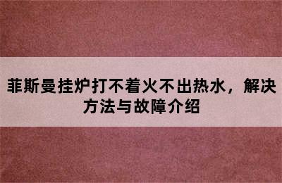 菲斯曼挂炉打不着火不出热水，解决方法与故障介绍