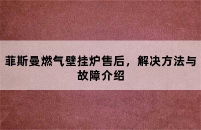 菲斯曼燃气壁挂炉售后，解决方法与故障介绍