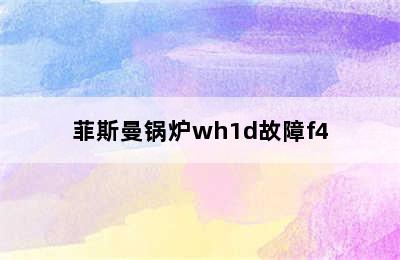 菲斯曼锅炉wh1d故障f4