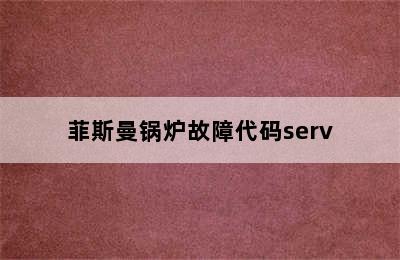 菲斯曼锅炉故障代码serv