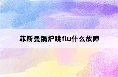 菲斯曼锅炉跳flu什么故障