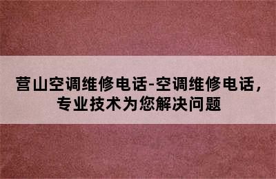 营山空调维修电话-空调维修电话，专业技术为您解决问题