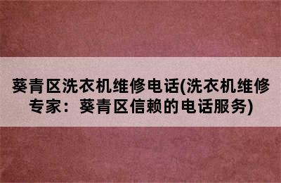 葵青区洗衣机维修电话(洗衣机维修专家：葵青区信赖的电话服务)