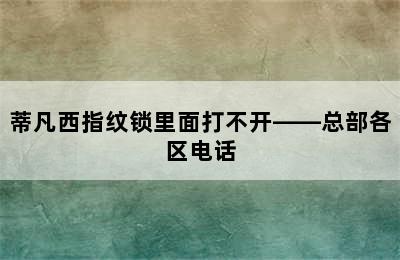 蒂凡西指纹锁里面打不开——总部各区电话