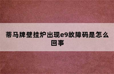 蒂马牌壁挂炉出现e9故障码是怎么回事