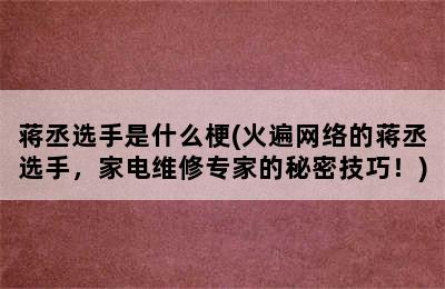 蒋丞选手是什么梗(火遍网络的蒋丞选手，家电维修专家的秘密技巧！)