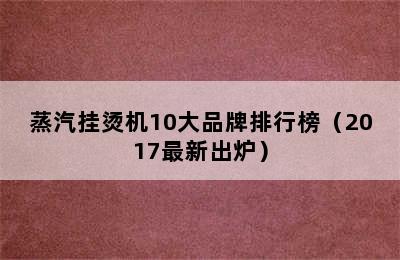 蒸汽挂烫机10大品牌排行榜（2017最新出炉）