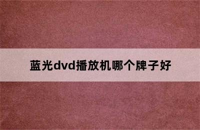 蓝光dvd播放机哪个牌子好