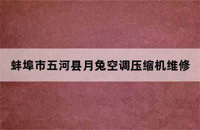 蚌埠市五河县月兔空调压缩机维修