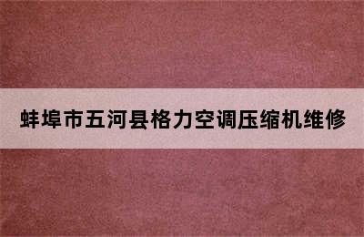 蚌埠市五河县格力空调压缩机维修