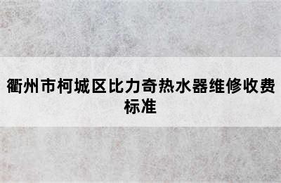 衢州市柯城区比力奇热水器维修收费标准