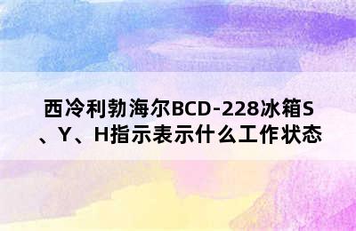 西冷利勃海尔BCD-228冰箱S、Y、H指示表示什么工作状态