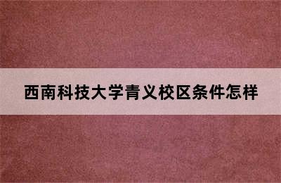 西南科技大学青义校区条件怎样