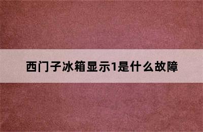 西门子冰箱显示1是什么故障