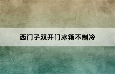 西门子双开门冰箱不制冷