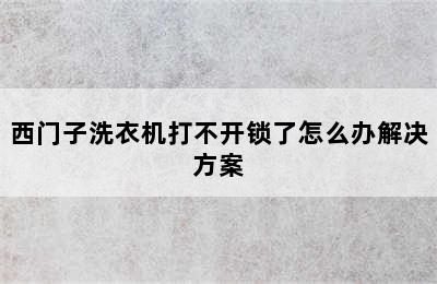 西门子洗衣机打不开锁了怎么办解决方案